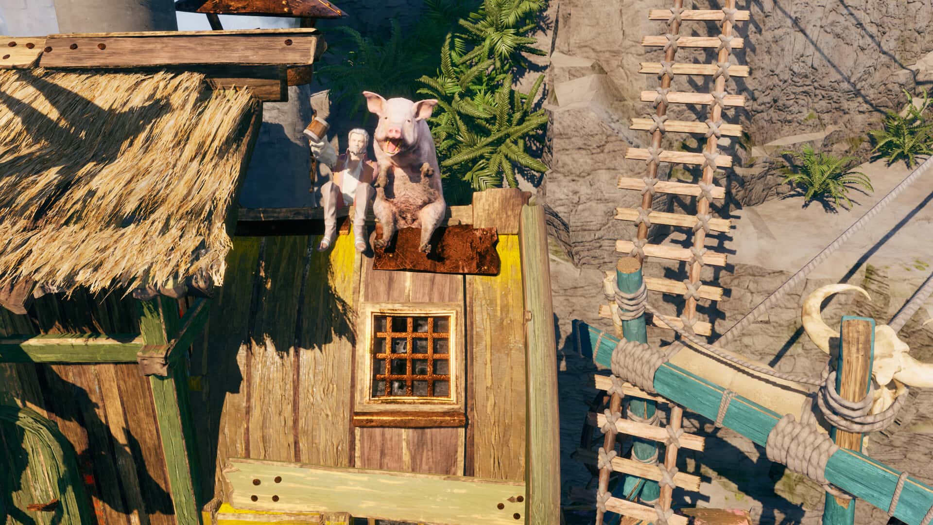 纵横秘湾 Corsair Cove 中文版封面